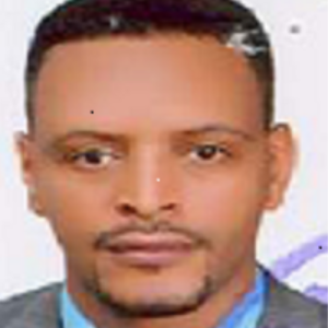 Tadesse Beyene Hailu-Freelancer in Addis Ababa,Ethiopia