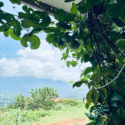 Fathima Shifna K-Freelancer in Chennai,India