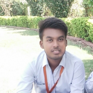 Vinayak Sain-Freelancer in Kota,India