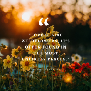 Sandeep Grover-Freelancer in Jind,India