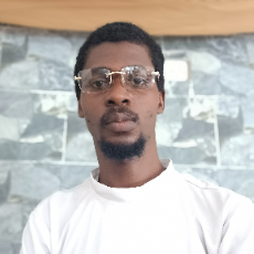 Daniel Adamson-Freelancer in Abuja,Nigeria