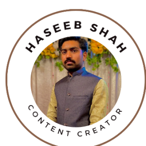 Haseeb Shah-Freelancer in Kabirwala,Pakistan