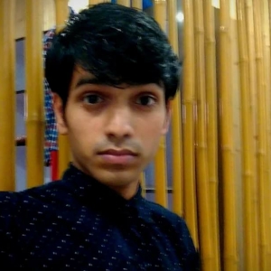 Mayank Kumar-Freelancer in Noida,India