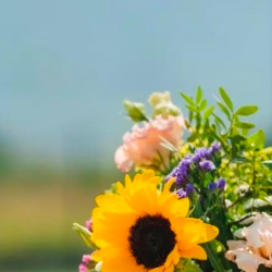 Hujahil Ahmed-Freelancer in Guwahati,India