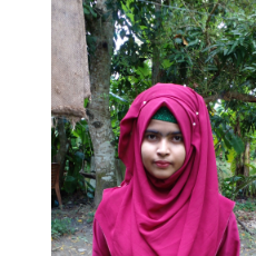 Shabnam Shashe-Freelancer in Bagerhat,Bangladesh