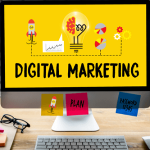 Alvera Ali-Freelancer in Karachi,Pakistan