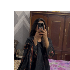 Aliza Fatima-Freelancer in Mandi bahaudin,Pakistan