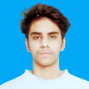 Muhammad Hasnain-Freelancer in Hyderabad,Pakistan