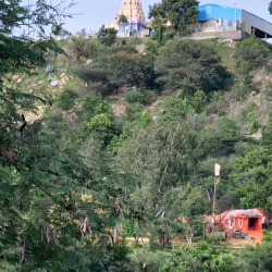 Priyanka Dhal-Freelancer in Bengaluru,India