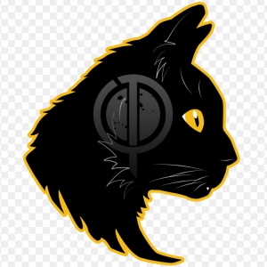 Stamina Pvp-Freelancer in Casablanca,Morocco