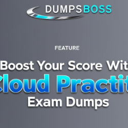 AWS Cloud Practitioner Exam Dumps-Freelancer in New York,Pakistan