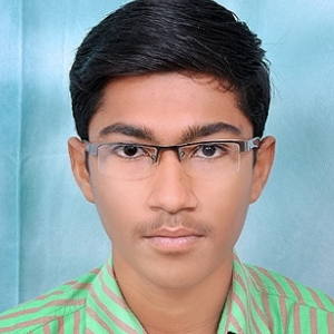 Mitesh Chauhan-Freelancer in Botad,India