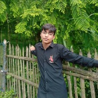 Badhon Mirza-Freelancer in kushtia,Bangladesh