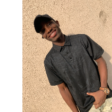Emmanuel Chukwudum-Freelancer in Lagos,Nigeria