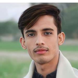 Hasnain Gull-Freelancer in Islamabad,Pakistan