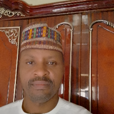 Ismail Mohammed-Freelancer in Abuja,Nigeria
