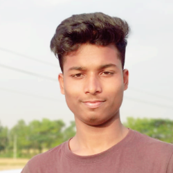 Md Hasan Mahmud-Freelancer in Dhaka,Bangladesh