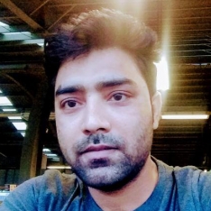 Julfikar Ali-Freelancer in New Delhi,India