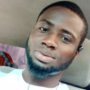 Habib Gemini-Freelancer in Abuja,Nigeria