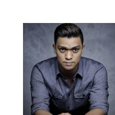 Vincent Albert Llapitan-Freelancer in Imus,Philippines