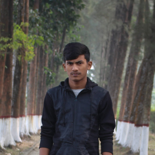 Sabbir Ahmed-Freelancer in Mymensingh,Bangladesh