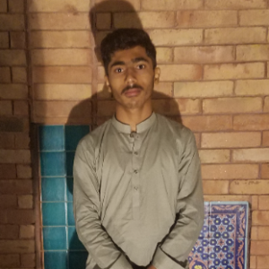 Ali Hamza-Freelancer in Lahore,Pakistan