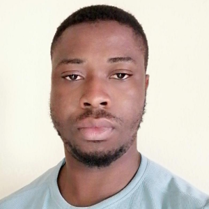 Oladapo Ojo-Freelancer in abuja,Nigeria