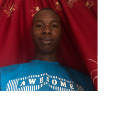 Emmanuel Omekara-Freelancer in Lagos,Nigeria