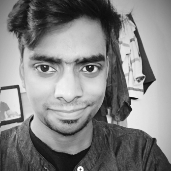 Ayub Ansari-Freelancer in Greater Noida,India