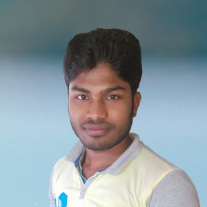 Md Ariful Islam-Freelancer in Dinajpur,Bangladesh