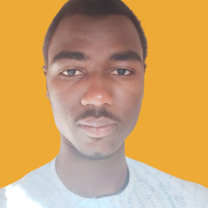 Abdullahi Bashir-Freelancer in Kano,Nigeria