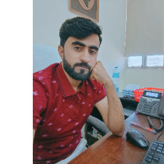 Munawar Hussain-Freelancer in Multan,Pakistan