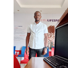 Evans Wambilianga-Freelancer in Nairobi,Kenya