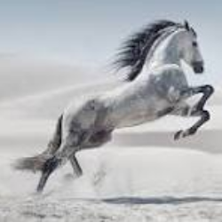 Paul Omondi-Freelancer in Nairobi,Kenya