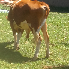 Abel Makila-Freelancer in Nairobi,Kenya
