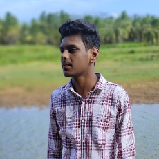 Sulthan Hameed-Freelancer in Madurai,India