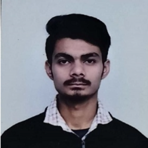 Vardaan Verma-Freelancer in Ghumarwin Himachal pradesh,India