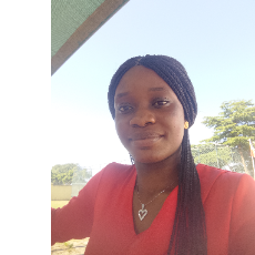 Promise Okoye-Freelancer in Abuja,Nigeria