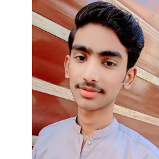 Muhammad Hamza-Freelancer in Liaquat pur,Pakistan