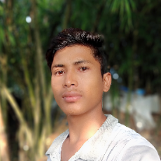 Bipul Roy-Freelancer in ,Bangladesh
