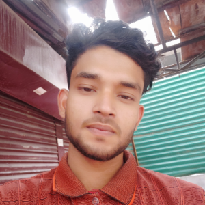 Ariful Islam-Freelancer in Dhaka District,Bangladesh