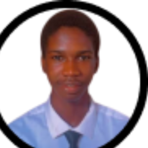 Adebayo Segun-Freelancer in akure,Nigeria