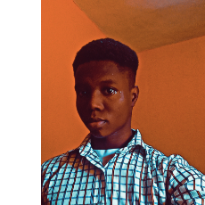 Oluwatobi Michael-Freelancer in Ilorin,Nigeria