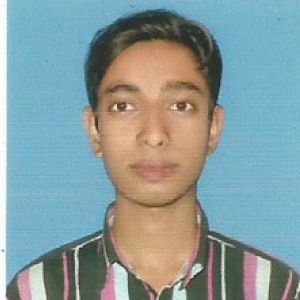 Alhaj Talukdar-Freelancer in Assam,India