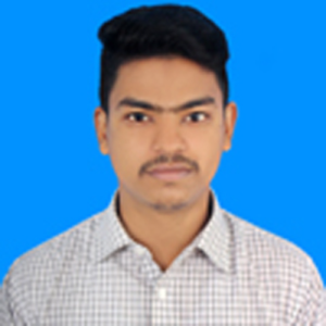 Md Habibur Rahman-Freelancer in Sirajganj,Bangladesh