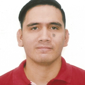 Enrique Fuentebella-Freelancer in Bacolod City,Philippines