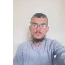 Usaid-Freelancer in Bahawalpur,Pakistan