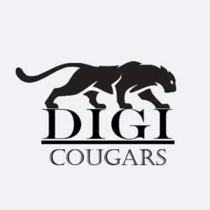 Digi Cougars-Freelancer in Multan,Pakistan