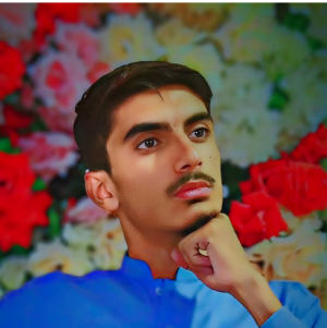 Muhammad Shees-Freelancer in Quetta,Pakistan