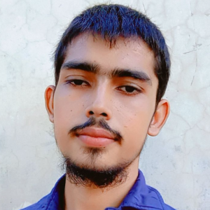 Adeel Ahmad-Freelancer in Faqir Wali,Pakistan